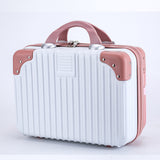 Hand-held Portable Luggage Case